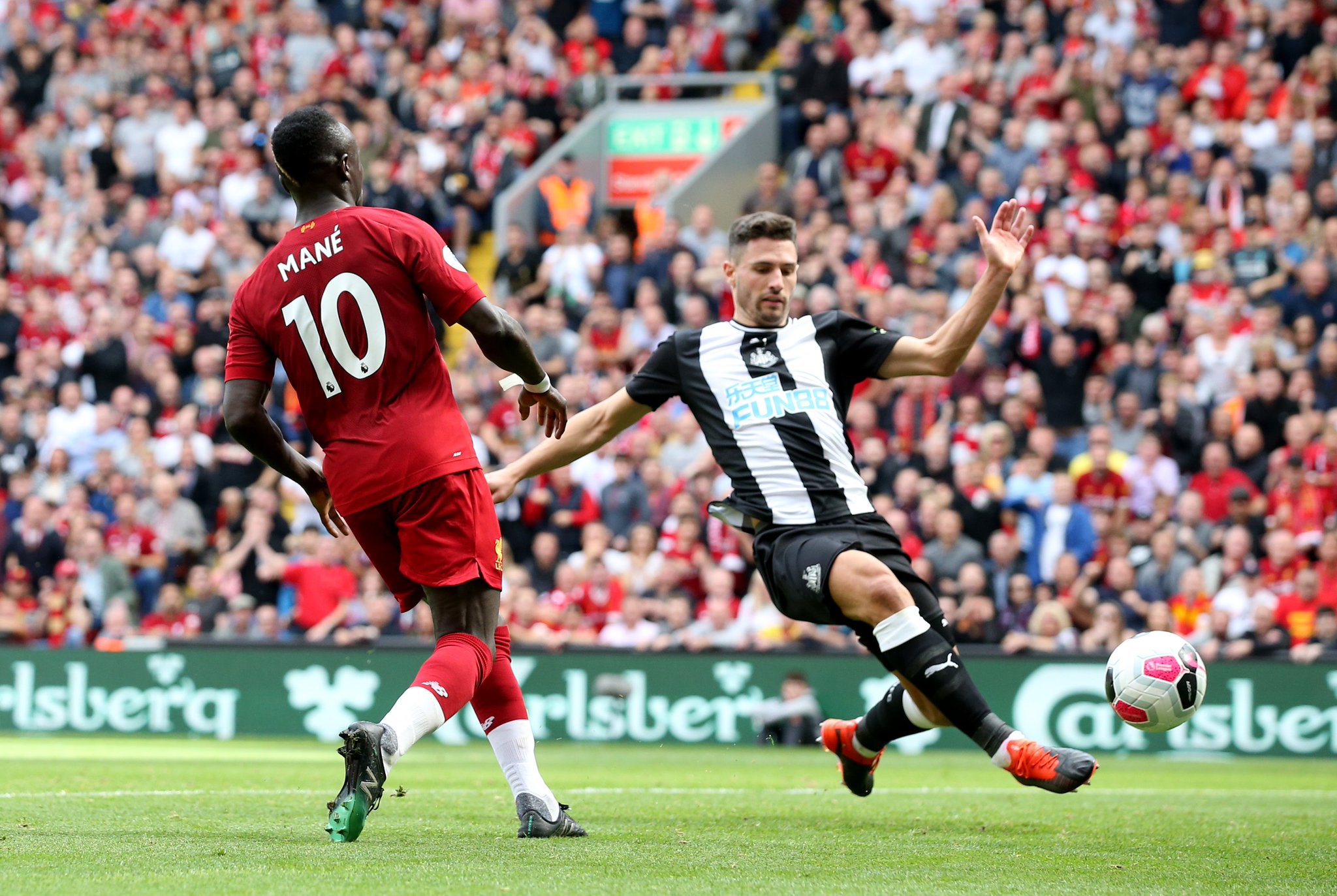 鹅的防线 鹅的防线